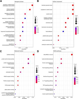 Exploration and identification of anoikis-related genes in polycythemia vera